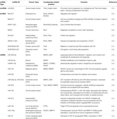 Non-Coding RNAs in Invadopodia: New Insights Into Cancer Metastasis